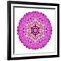 Pink Kaleidoscopic Flower Mandala-tr3gi-Framed Premium Giclee Print