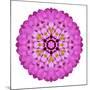 Pink Kaleidoscopic Flower Mandala-tr3gi-Mounted Premium Giclee Print