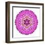 Pink Kaleidoscopic Flower Mandala-tr3gi-Framed Art Print