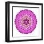 Pink Kaleidoscopic Flower Mandala-tr3gi-Framed Art Print