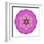 Pink Kaleidoscopic Flower Mandala-tr3gi-Framed Art Print