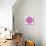 Pink Kaleidoscopic Flower Mandala-tr3gi-Mounted Art Print displayed on a wall