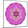 Pink Kaleidoscopic Flower Mandala-tr3gi-Mounted Art Print