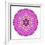 Pink Kaleidoscopic Flower Mandala-tr3gi-Framed Art Print