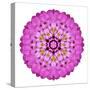 Pink Kaleidoscopic Flower Mandala-tr3gi-Stretched Canvas