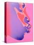 Pink Kiss-Abstract Graffiti-Stretched Canvas