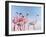 Pink Ladies-Lucia Heffernan-Framed Art Print