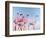 Pink Ladies-Lucia Heffernan-Framed Art Print