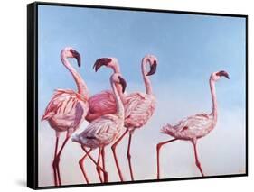 Pink Ladies-Lucia Heffernan-Framed Stretched Canvas