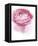 Pink Lady I-Elizabeth Urquhart-Framed Stretched Canvas