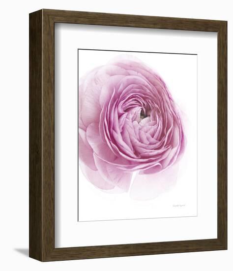 Pink Lady III-Elizabeth Urquhart-Framed Photo