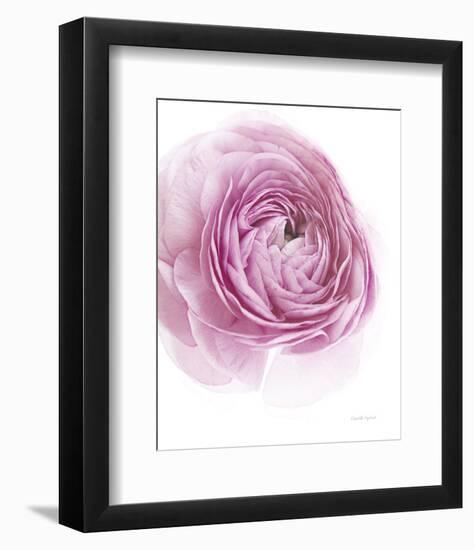 Pink Lady III-Elizabeth Urquhart-Framed Photo