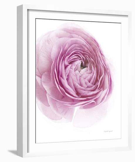 Pink Lady III-Elizabeth Urquhart-Framed Photo