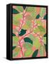 Pink lady-Suzanne Allard-Framed Stretched Canvas