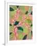 Pink lady-Suzanne Allard-Framed Art Print