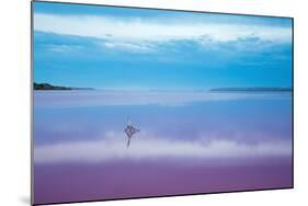 Pink lagoon at Port Gregory, Western Australia-David Noton-Mounted Photographic Print