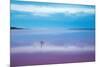 Pink lagoon at Port Gregory, Western Australia-David Noton-Mounted Photographic Print