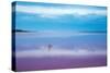 Pink lagoon at Port Gregory, Western Australia-David Noton-Stretched Canvas