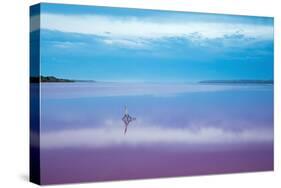 Pink lagoon at Port Gregory, Western Australia-David Noton-Stretched Canvas