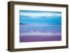 Pink lagoon at Port Gregory, Western Australia-David Noton-Framed Photographic Print