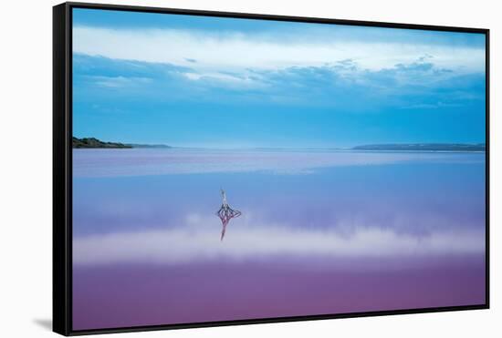 Pink lagoon at Port Gregory, Western Australia-David Noton-Framed Stretched Canvas