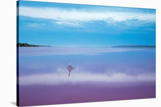Pink lagoon at Port Gregory, Western Australia-David Noton-Stretched Canvas