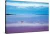 Pink lagoon at Port Gregory, Western Australia-David Noton-Stretched Canvas