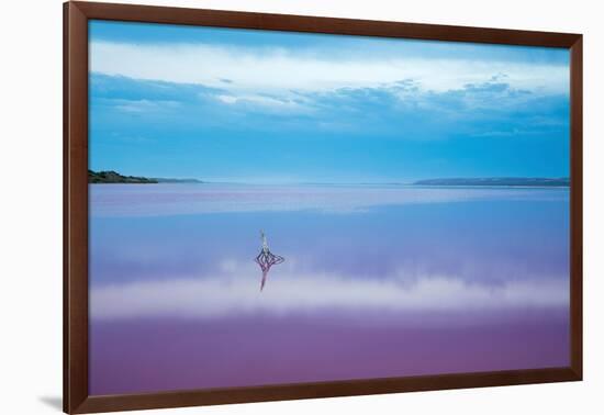 Pink lagoon at Port Gregory, Western Australia-David Noton-Framed Photographic Print