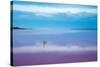 Pink lagoon at Port Gregory, Western Australia-David Noton-Stretched Canvas