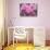 Pink Landscape Roses, Jackson, New Hampshire, USA-Lisa S^ Engelbrecht-Stretched Canvas displayed on a wall