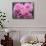 Pink Landscape Roses, Jackson, New Hampshire, USA-Lisa S^ Engelbrecht-Framed Stretched Canvas displayed on a wall