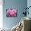 Pink Landscape Roses, Jackson, New Hampshire, USA-Lisa S^ Engelbrecht-Mounted Photographic Print displayed on a wall