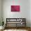 Pink Leaf II-Erin Berzel-Photographic Print displayed on a wall