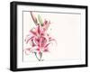 Pink Lily Flowers-null-Framed Photographic Print