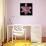 Pink Lily-Jim Christensen-Photographic Print displayed on a wall