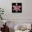 Pink Lily-Jim Christensen-Photographic Print displayed on a wall