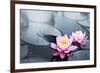 Pink Lotus Blossoms in Pond-null-Framed Art Print