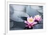 Pink Lotus Blossoms in Pond-null-Framed Art Print