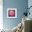 Pink Lotus Flower in Pond-null-Framed Art Print displayed on a wall