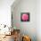 Pink Lotus Flower in Pond-null-Mounted Art Print displayed on a wall