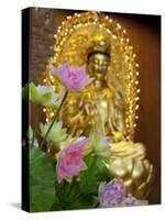 Pink Lotus Flowers in Front of Gold Statue, Kek Lok Si Temple, Island of Penang, Malaysia-Cindy Miller Hopkins-Stretched Canvas