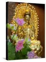 Pink Lotus Flowers in Front of Gold Statue, Kek Lok Si Temple, Island of Penang, Malaysia-Cindy Miller Hopkins-Stretched Canvas