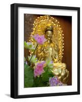 Pink Lotus Flowers in Front of Gold Statue, Kek Lok Si Temple, Island of Penang, Malaysia-Cindy Miller Hopkins-Framed Photographic Print