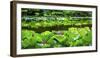 Pink Lotus Pond Garden Lily Pads Summer Palace, Beijing, China-William Perry-Framed Photographic Print