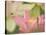 Pink Lotus With Bee, Kenilworth Aquatic Gardens, Washington DC, USA-Corey Hilz-Stretched Canvas