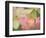 Pink Lotus With Bee, Kenilworth Aquatic Gardens, Washington DC, USA-Corey Hilz-Framed Photographic Print