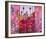 Pink Lotus-Sally Bennett Baxley-Framed Giclee Print