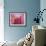 Pink Lotus-Sally Bennett Baxley-Framed Giclee Print displayed on a wall