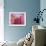 Pink Lotus-Sally Bennett Baxley-Framed Giclee Print displayed on a wall