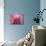 Pink Lotus-Sally Bennett Baxley-Mounted Giclee Print displayed on a wall